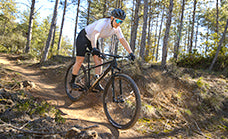 Hardtail
