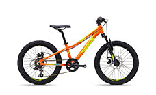 20 Inch Wheel